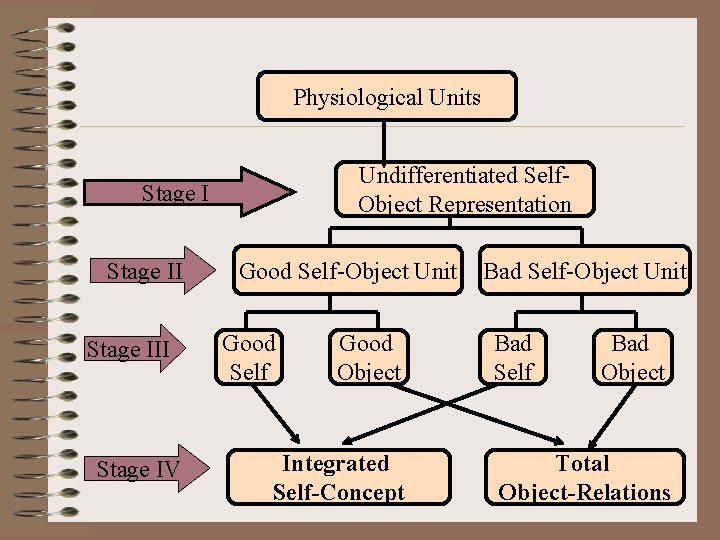Physiological Units Undifferentiated Self. Object Representation Stage III Stage IV Good Self-Object Unit Good