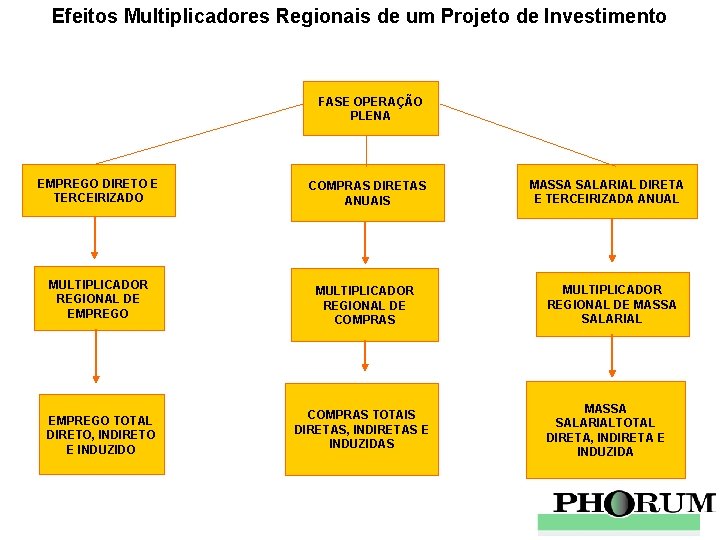 Efeitos Multiplicadores Regionais de um Projeto de Investimento FASE OPERAÇÃO PLENA EMPREGO DIRETO E