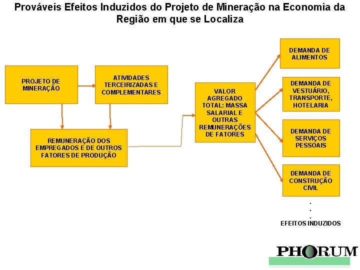 Prováveis Efeitos Induzidos do Projeto de Mineração na Economia da Região em que se