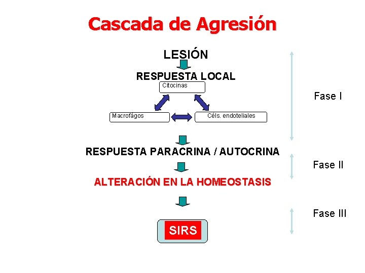 Cascada de Agresión LESIÓN RESPUESTA LOCAL Citocinas Fase I Macrofágos Céls. endoteliales RESPUESTA PARACRINA