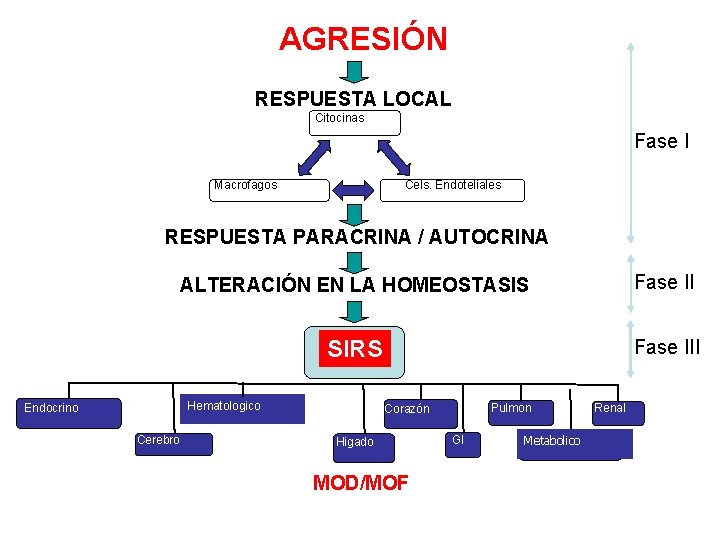AGRESIÓN RESPUESTA LOCAL Citocinas Fase I Macrofagos Cels. Endoteliales RESPUESTA PARACRINA / AUTOCRINA ALTERACIÓN