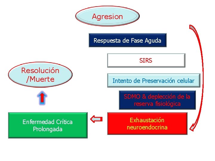 Agresion Respuesta de Fase Aguda SIRS Resolución /Muerte Intento de Preservación celular SDMO &