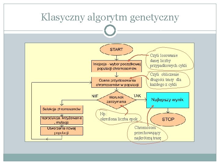 Klasyczny algorytm genetyczny Czyli losowanie danej liczby przypadkowych cykli Czyli obliczenie długości trasy dla