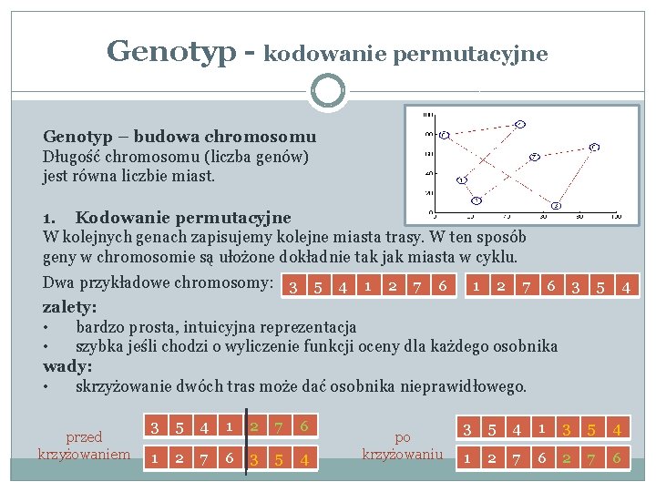 Genotyp - kodowanie permutacyjne Genotyp – budowa chromosomu Długość chromosomu (liczba genów) jest równa