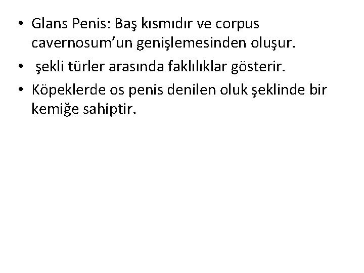  • Glans Penis: Baş kısmıdır ve corpus cavernosum’un genişlemesinden oluşur. • şekli türler