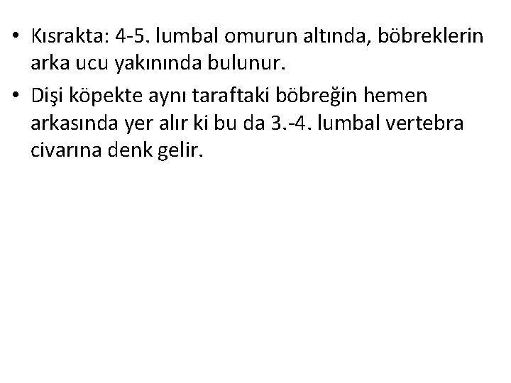  • Kısrakta: 4 -5. lumbal omurun altında, böbreklerin arka ucu yakınında bulunur. •