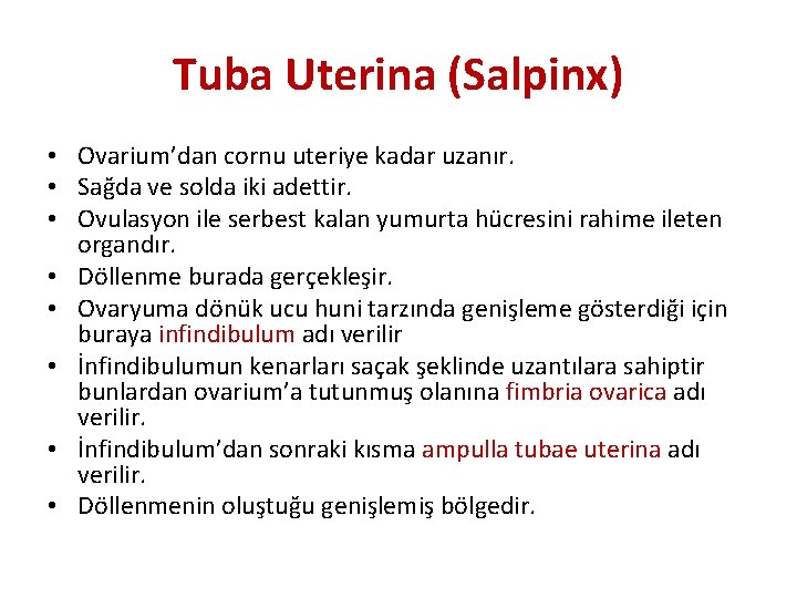 Tuba Uterina (Salpinx) • Ovarium’dan cornu uteriye kadar uzanır. • Sağda ve solda iki