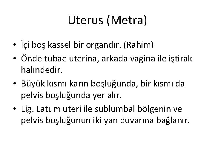 Uterus (Metra) • İçi boş kassel bir organdır. (Rahim) • Önde tubae uterina, arkada