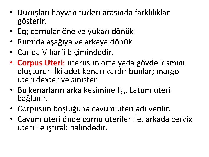  • Duruşları hayvan türleri arasında farklılıklar gösterir. • Eq; cornular öne ve yukarı