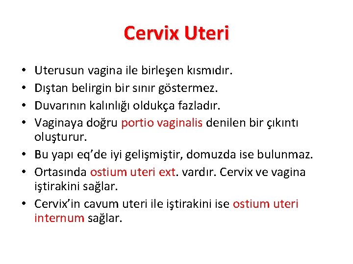 Cervix Uteri Uterusun vagina ile birleşen kısmıdır. Dıştan belirgin bir sınır göstermez. Duvarının kalınlığı