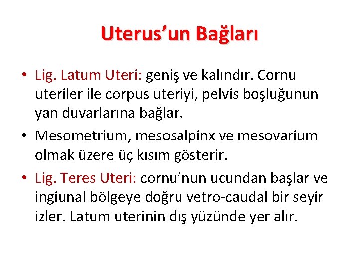 Uterus’un Bağları • Lig. Latum Uteri: geniş ve kalındır. Cornu uteriler ile corpus uteriyi,