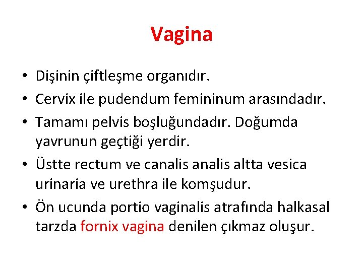 Vagina • Dişinin çiftleşme organıdır. • Cervix ile pudendum femininum arasındadır. • Tamamı pelvis