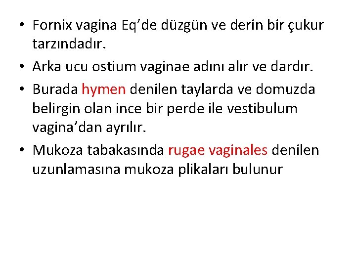  • Fornix vagina Eq’de düzgün ve derin bir çukur tarzındadır. • Arka ucu