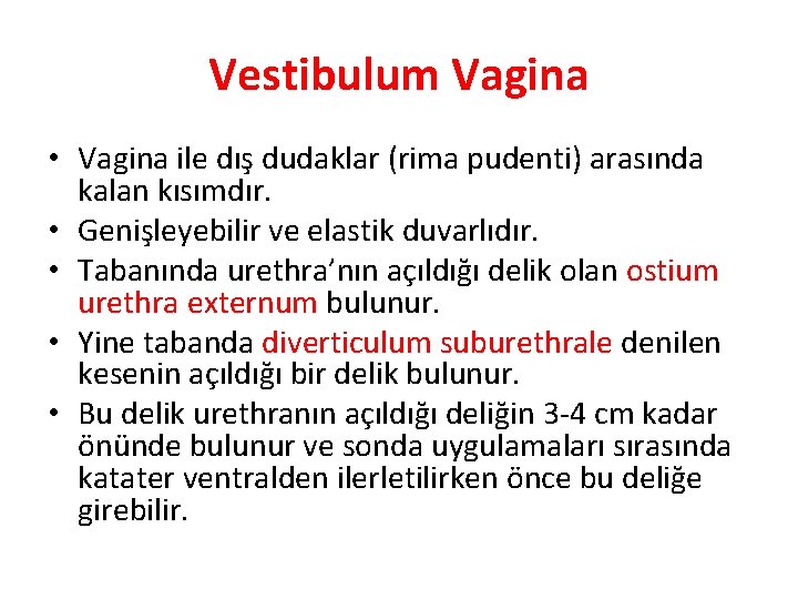 Vestibulum Vagina • Vagina ile dış dudaklar (rima pudenti) arasında kalan kısımdır. • Genişleyebilir
