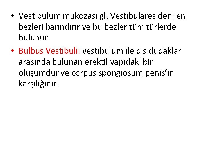  • Vestibulum mukozası gl. Vestibulares denilen bezleri barındırır ve bu bezler tüm türlerde