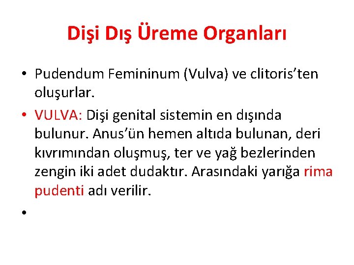 Dişi Dış Üreme Organları • Pudendum Femininum (Vulva) ve clitoris’ten oluşurlar. • VULVA: Dişi