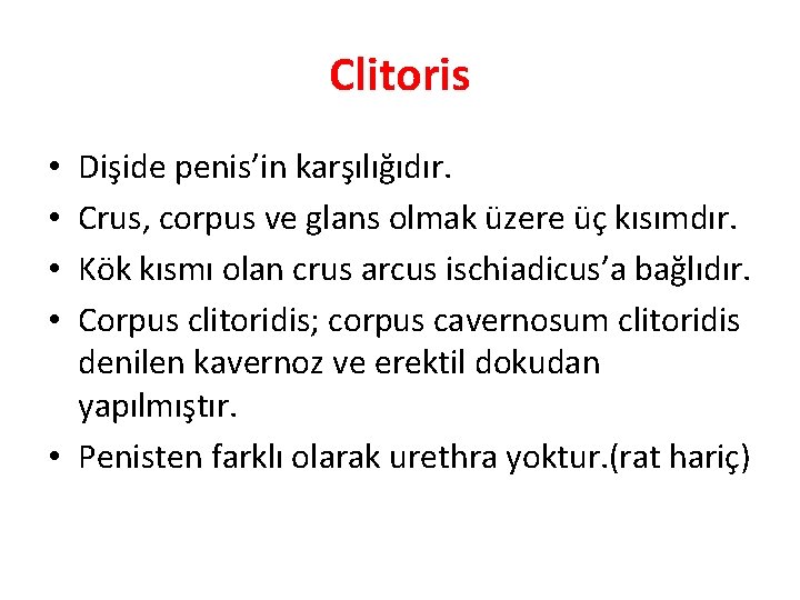 Clitoris Dişide penis’in karşılığıdır. Crus, corpus ve glans olmak üzere üç kısımdır. Kök kısmı