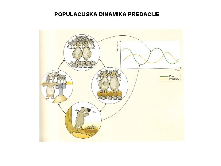 POPULACIJSKA DINAMIKA PREDACIJE 