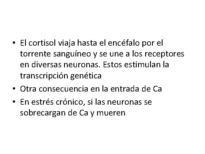  • El cortisol viaja hasta el encéfalo por el torrente sanguíneo y se