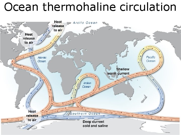 Ocean thermohaline circulation 