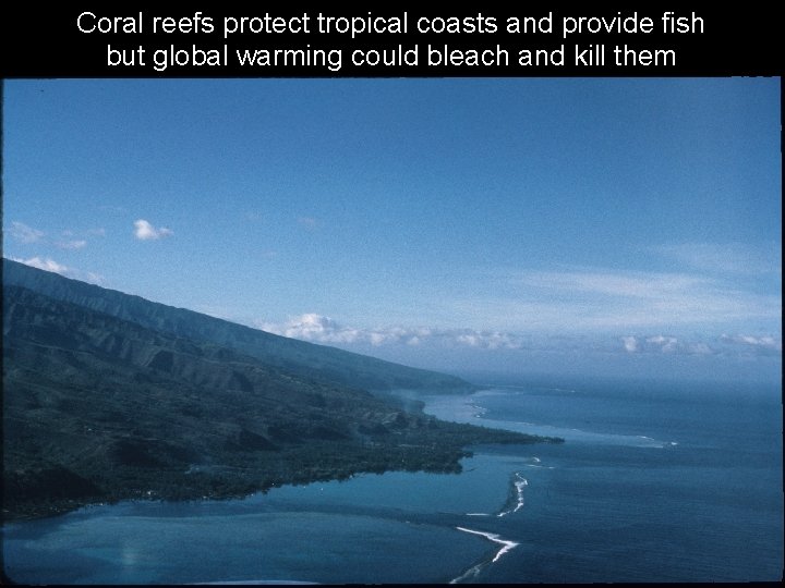 Coral reefs protect tropical coasts and provide fish but global warming could bleach and