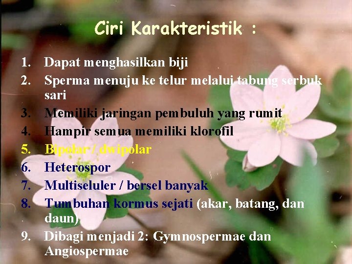 Ciri Karakteristik : 1. Dapat menghasilkan biji 2. Sperma menuju ke telur melalui tabung