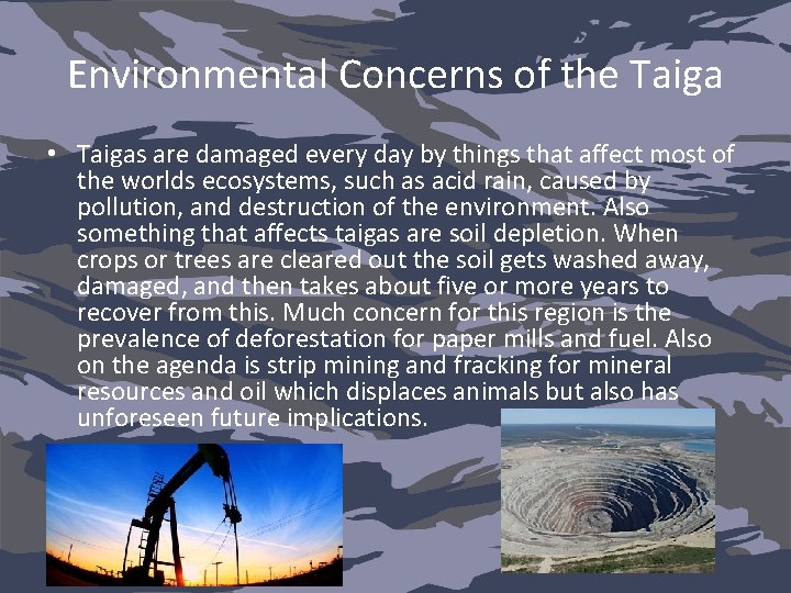 Environmental Concerns of the Taiga • Taigas are damaged every day by things that