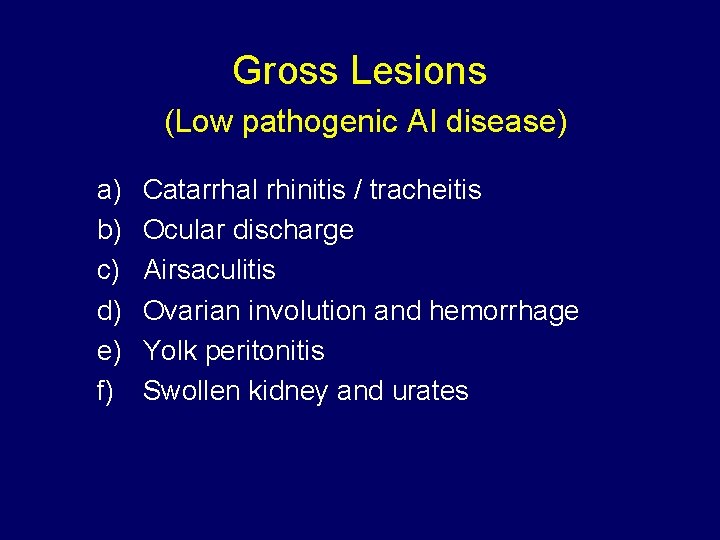 Gross Lesions (Low pathogenic AI disease) a) b) c) d) e) f) Catarrhal rhinitis Gross Lesions (Low pathogenic AI disease) a) b) c) d) e) f) Catarrhal rhinitis