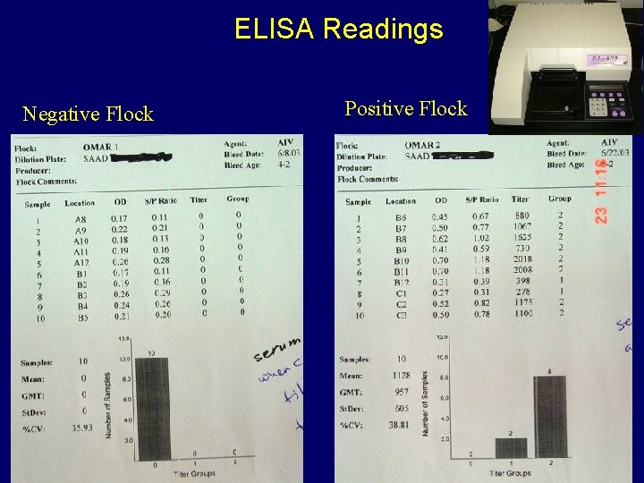 ELISA Readings Negative Flock Positive Flock 