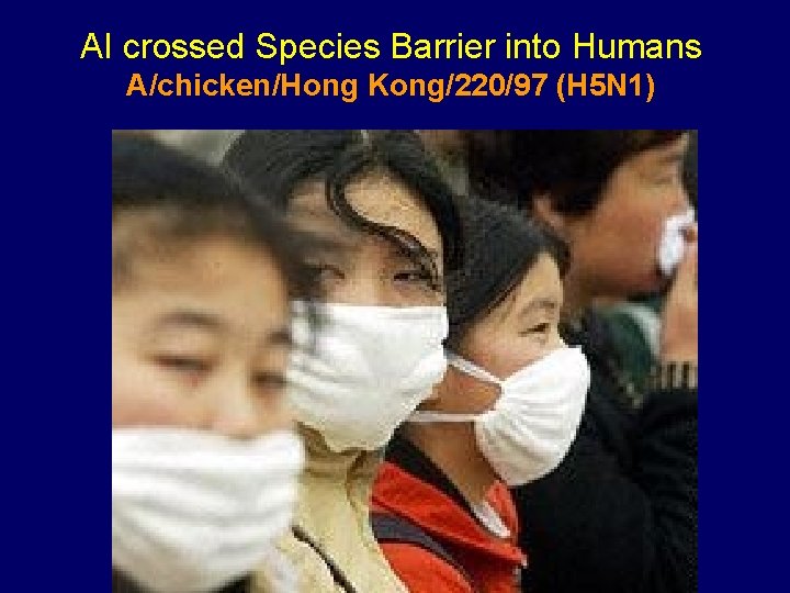 AI crossed Species Barrier into Humans A/chicken/Hong Kong/220/97 (H 5 N 1) AI crossed Species Barrier into Humans A/chicken/Hong Kong/220/97 (H 5 N 1)