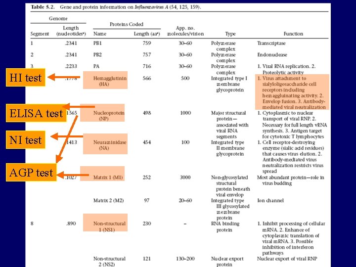 HI test ELISA test NI test AGP test 