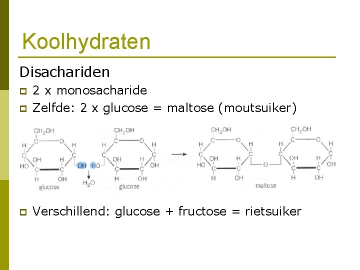 Koolhydraten Disachariden p 2 x monosacharide Zelfde: 2 x glucose = maltose (moutsuiker) p