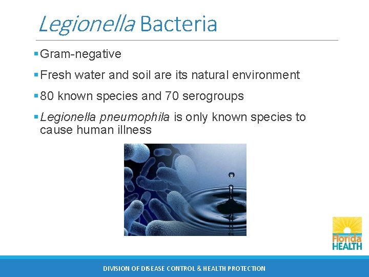 Legionella Bacteria § Gram-negative § Fresh water and soil are its natural environment §