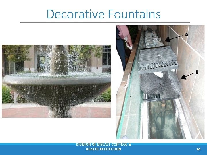 Decorative Fountains DIVISION OF DISEASE CONTROL & HEALTH PROTECTION 64 