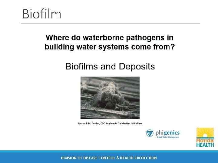 Biofilm DIVISION OF DISEASE CONTROL & HEALTH PROTECTION 