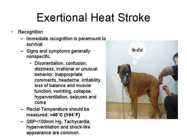 Exertional Heat Stroke • Recognition – Immediate recognition is paramount to survival – Signs Exertional Heat Stroke • Recognition – Immediate recognition is paramount to survival – Signs