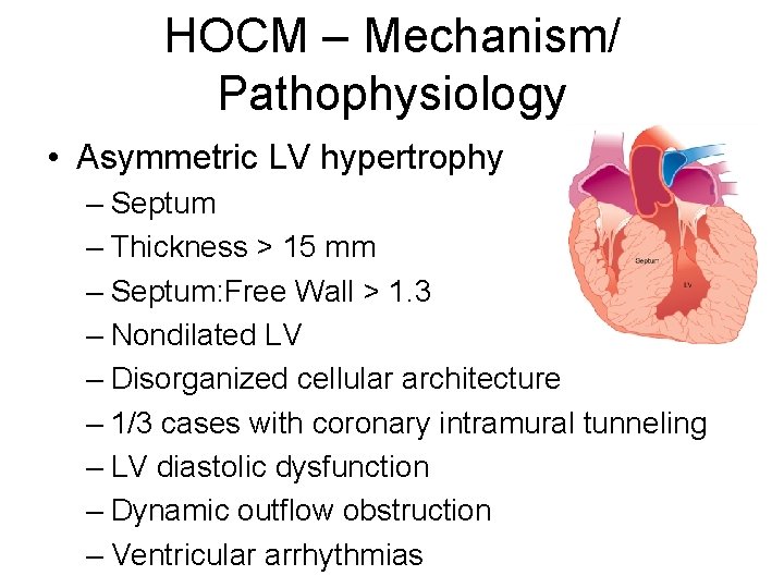 HOCM – Mechanism/ Pathophysiology • Asymmetric LV hypertrophy – Septum – Thickness > 15 HOCM – Mechanism/ Pathophysiology • Asymmetric LV hypertrophy – Septum – Thickness > 15
