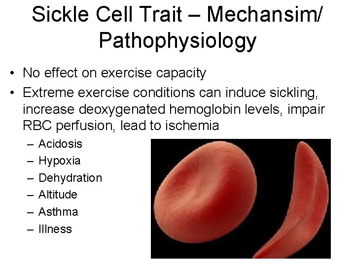 Sickle Cell Trait – Mechansim/ Pathophysiology • No effect on exercise capacity • Extreme Sickle Cell Trait – Mechansim/ Pathophysiology • No effect on exercise capacity • Extreme