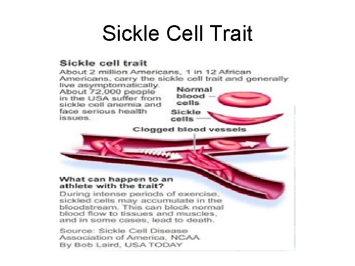 Sickle Cell Trait  Sickle Cell Trait