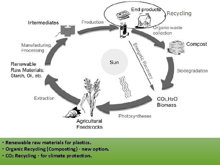  • Renewable raw materials for plastics. • Organic Recycling (Composting) - new option.