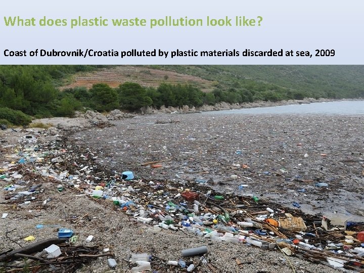 What does plastic waste pollution look like? Coast of Dubrovnik/Croatia polluted by plastic materials