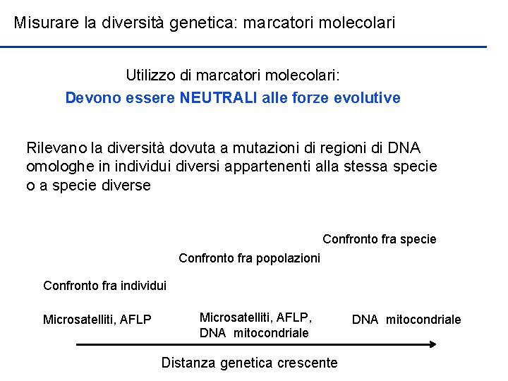 Misurare la diversità genetica: marcatori molecolari Utilizzo di marcatori molecolari: Devono essere NEUTRALI alle