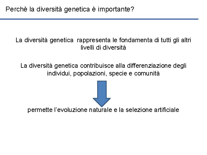 Perchè la diversità genetica è importante? La diversità genetica rappresenta le fondamenta di tutti
