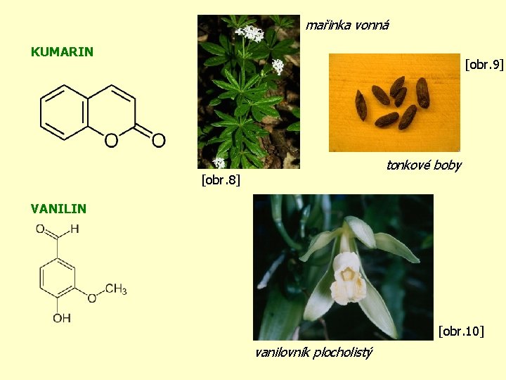 mařinka vonná KUMARIN [obr. 9] tonkové boby [obr. 8] VANILIN [obr. 10] vanilovník plocholistý