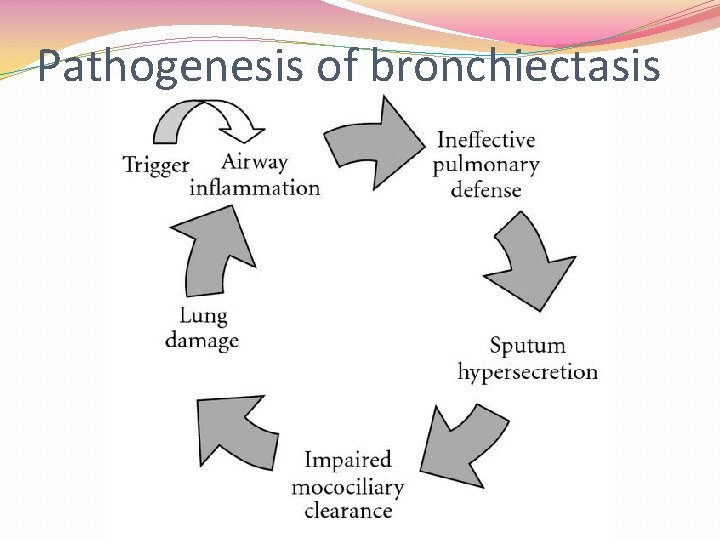 Pathogenesis of bronchiectasis 