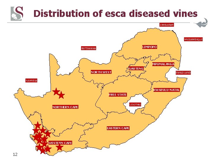Distribution of esca diseased vines ZIMBABWE MOZAMBIQUE NORTHERN PROVINCE LIMPOPO BOTSWANA MPUMALANGA NORTH WEST