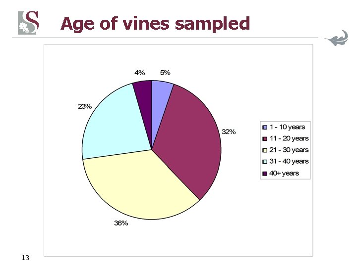 Age of vines sampled 13 