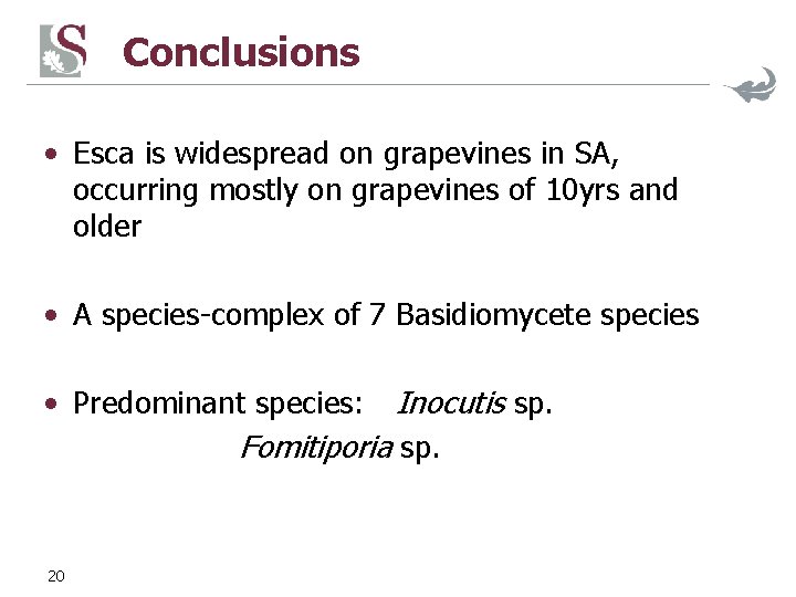 Conclusions • Esca is widespread on grapevines in SA, occurring mostly on grapevines of