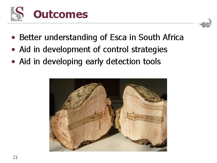 Outcomes • Better understanding of Esca in South Africa • Aid in development of