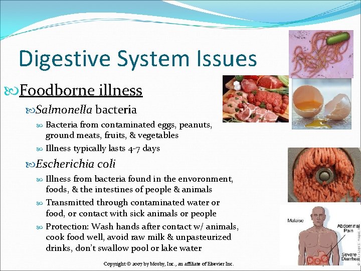 Digestive System Issues Foodborne illness Salmonella bacteria Bacteria from contaminated eggs, peanuts, ground meats,